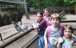  (photo)