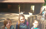  (photo)