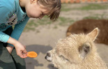 ŚWIĘTO DZIECI WŚRÓD ALPAK I NATURY