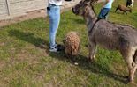  (photo)