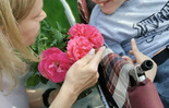 (photo)