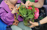 (photo)