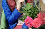 (photo)