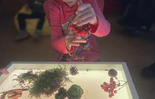 (photo)