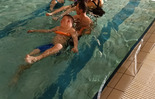 (photo)