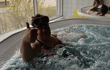 (photo)