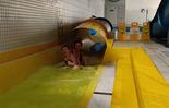 (photo)