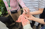 (photo)