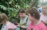 (photo)