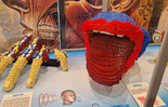 (photo)