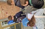 (photo)