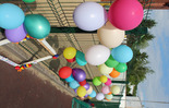 (photo)