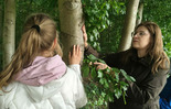 (photo)