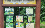 (photo)