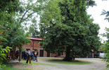 (photo)
