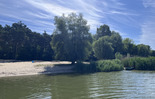(photo)