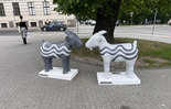 (photo)