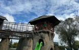 (photo)