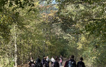 (photo)