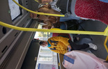 (photo)