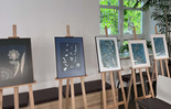  (photo)